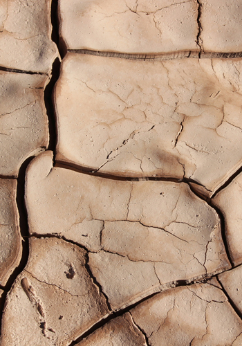 Earth=Touch that is the integration of many Sacred Traditions, multiple modalities & a path of Spiritual connection. Twenty-six years of mastery: intuitive and clear.