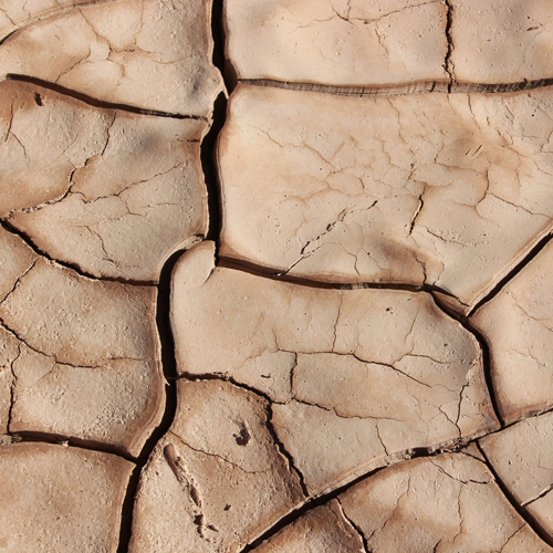 Earth=Touch that is the integration of many Sacred Traditions, multiple modalities & a path of Spiritual connection. Twenty-six years of mastery: intuitive and clear.