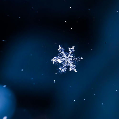 Water Gestation, Flow, Fear, Wisdom & Trust. One of the 5 Element Circle of Life